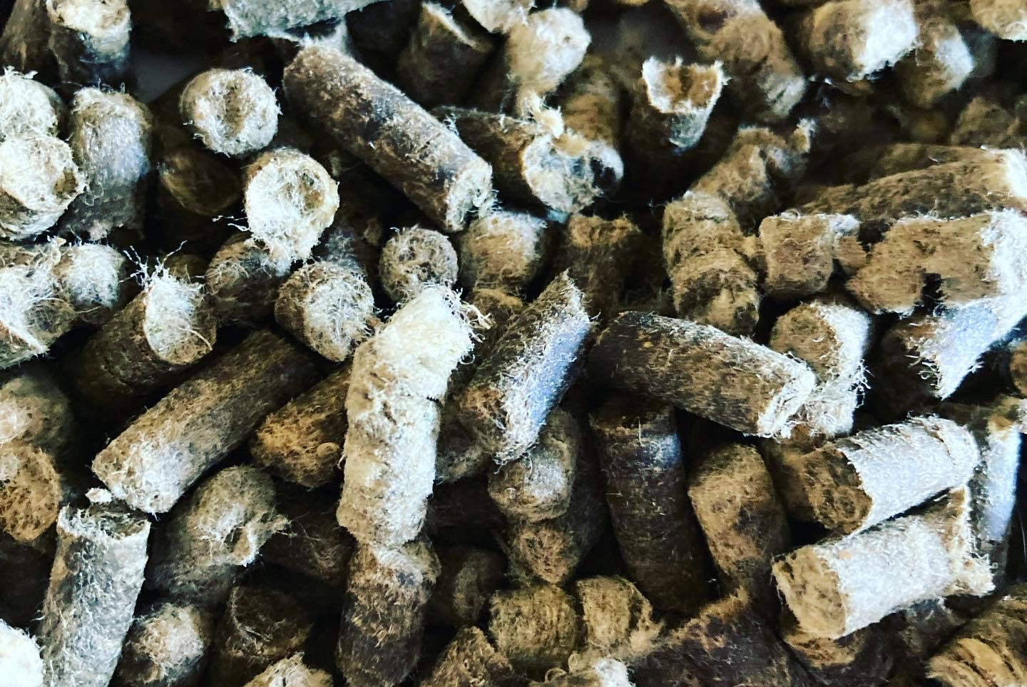 Wool Pellets